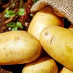 Kdy a jak sázet brambory: Co dalšího potřebujete vědět o jejich pěstování